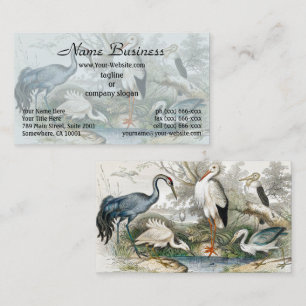 Carte De Visite Impression d'art de la nature Héron, Cigogne et Gr
