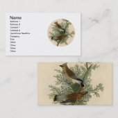 Carte De Visite Impression d'oiseau de John James Audubon Jaseur b (Devant / Derrière)