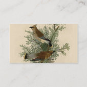 Carte De Visite Impression d'oiseau de John James Audubon Jaseur b (Dos)