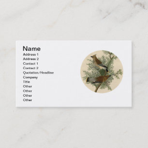 Carte De Visite Impression d'oiseau de John James Audubon Jaseur b