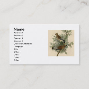 Carte De Visite Impression d'oiseau de John James Audubon Jaseur b