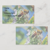 Carte De Visite Insecte d'abeille (Devant / Derrière)