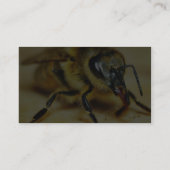 Carte De Visite Insectes d'abeilles (Dos)