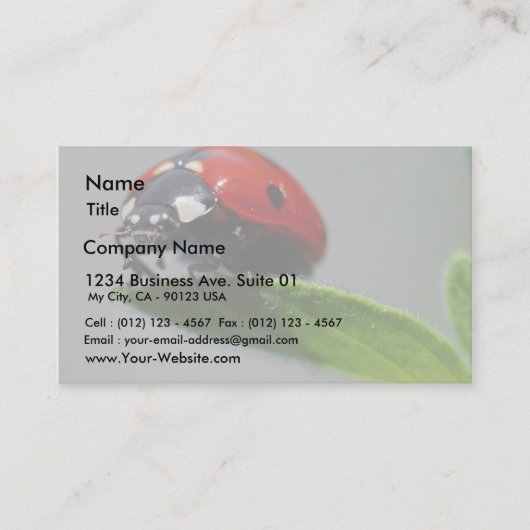 Carte De Visite Insectes de coccinelles (Devant)