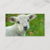 Carte De Visite Instructeur de Tricot de mouton d'agneau (Dos)