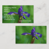 Carte De Visite Iris assez sibérien (Devant / Derrière)