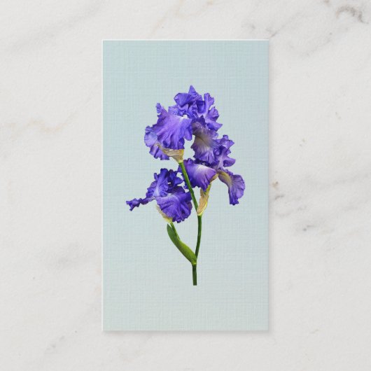 Carte De Visite Iris triple violet (Dos)