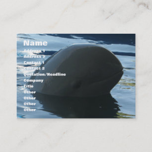 Carte De Visite Irrawaddy Dolphin Peek-A-Boo