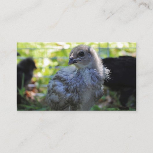 Carte De Visite Jacinthe des bois (Devant)