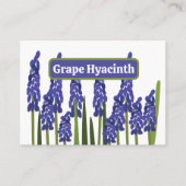 Carte De Visite Jacinthe des vignes Fleur Florale Bleu Violet (Devant)