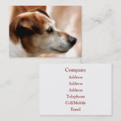 CARTE DE VISITE JACK RUSSELL TERRIER CHIEN (Devant / Derrière)