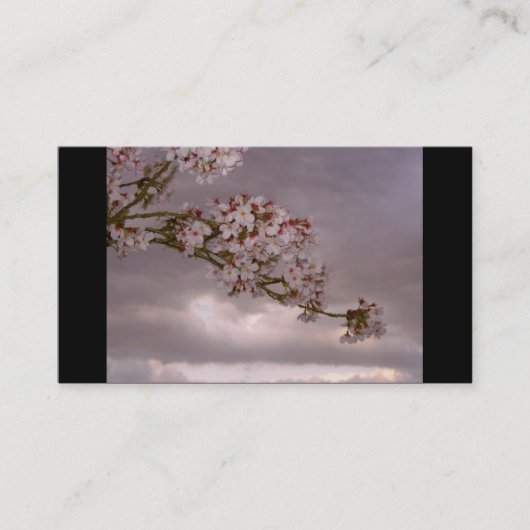 Carte de visite japonais (Devant)