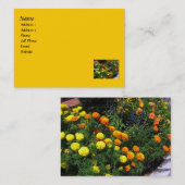 Carte De Visite Jardin de souci (Devant / Derrière)