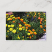 Carte De Visite Jardin de souci (Dos)