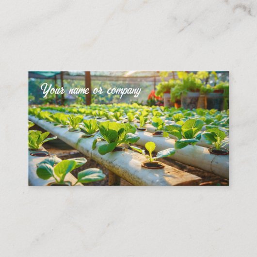 Carte De Visite Jardin hydroponique (Devant)
