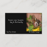 Jardin Photographie Papillon Ailes Chien