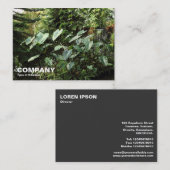 Carte De Visite Jardins botaniques (Devant / Derrière)