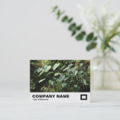 Carte De Visite Jardins botaniques (Debout devant)