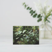 Carte De Visite Jardins botaniques (Debout devant)
