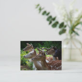 Carte De Visite J'entends Mini Impression (Debout devant)