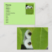 Carte De Visite Jetez un coup d'oeil un hibou de huer (Devant / Derrière)