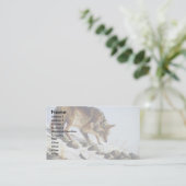 Carte De Visite Jeu de l'opossum, coyote (Debout devant)