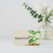 Carte De Visite Jeune Plante d'arbre (Debout devant)