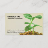 Carte De Visite Jeune Plante d'arbre (Dos)