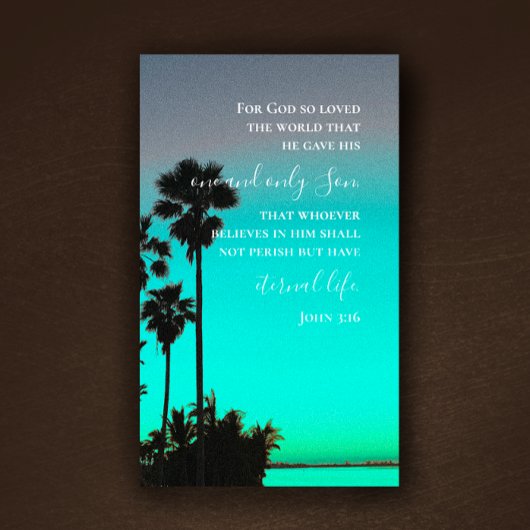Carte De Visite John 3:16 Bible Verse Florida Palms Original Photo