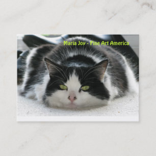 Carte De Visite Joie de Maria - beaux-arts Amérique.