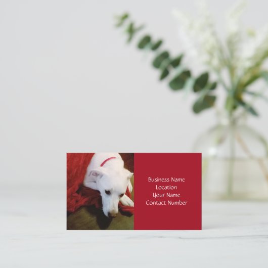 Carte De Visite Joli Chien Chien Rouge Blanc Neige Vacances (Debout devant)