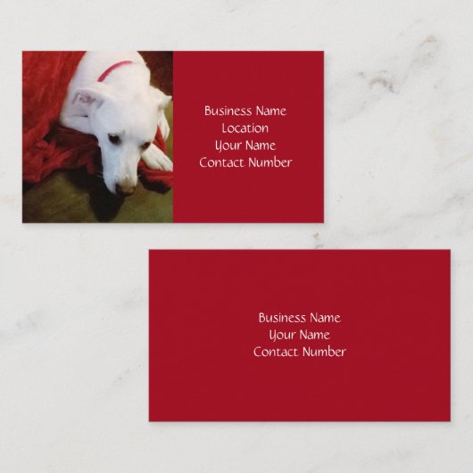 Carte De Visite Joli Chien Chien Rouge Blanc Neige Vacances (Devant / Derrière)