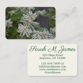 Carte De Visite Joli Jardin de Fleurs Blanches Fleuries (Devant / Derrière)
