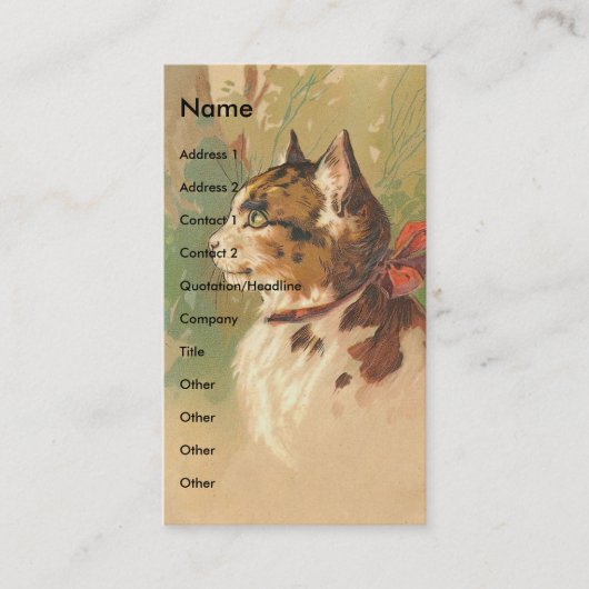 Carte De Visite Joli Kitty Vintage (Devant)
