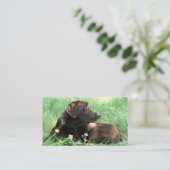 Carte De Visite Joli Labrador Retriever Photographie Soins aux ani (Debout devant)