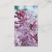 Carte De Visite Joli Lilacs pourpre (Dos)