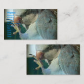 Carte De Visite Joli oiseau (Devant / Derrière)