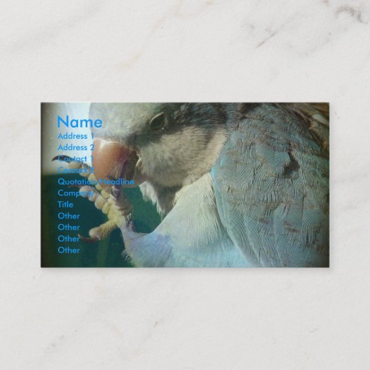 Carte De Visite Joli oiseau (Devant)