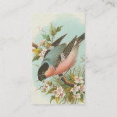 Carte De Visite Joli oiseau Vintage (Dos)