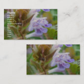 Carte De Visite Joli Petit Henbit (Devant / Derrière)