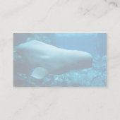 Carte De Visite Jolie Baleine Beluga À L'Aquarium De Géorgie (Dos)