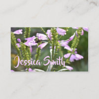 Jolie Fleurs violettes Photographie originale du j