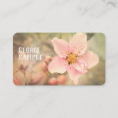 Carte De Visite jolie photo de fleur rose pâle (Devant)