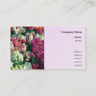 Carte De Visite jolies fleurs colorées de jardin