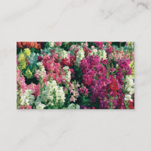 Carte De Visite jolies fleurs colorées du jardin