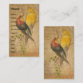 Carte De Visite Jolies oiseaux (Devant / Derrière)