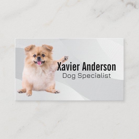 Carte De Visite Jolis services pour chiens et animaux (Devant)