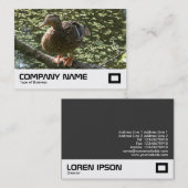 Carte De Visite Joyeux canard (Devant / Derrière)