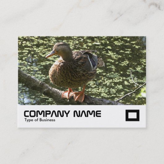 Carte De Visite Joyeux canard (Devant)