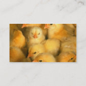 Carte De Visite Joyeux élevage de poulets (Dos)